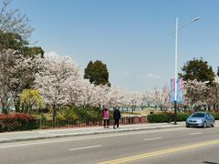 -幕燕滨江·长江观音景区