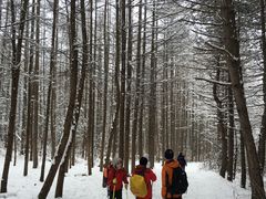 -秦岭风景区