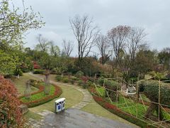 -铁山坪森林公园