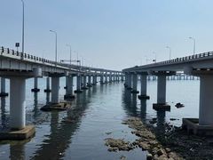 -星海湾跨海大桥
