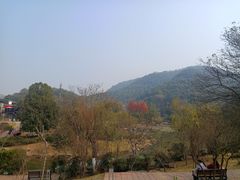 -桃花岭景区