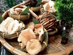 -慢丽江·云南野生菌土鸡锅(付家庄店)