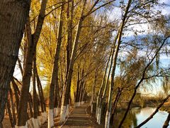 -东郊湿地公园