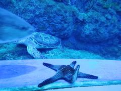 -成都浩海立方海洋公园