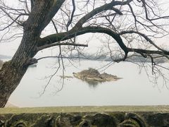 -东梓关景区村庄