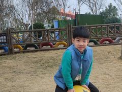 -武汉紫薇都市田园