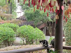 -绍兴古城
