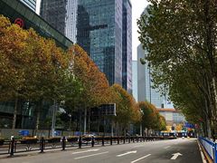 -重庆市江北嘴中央商务区中央公园