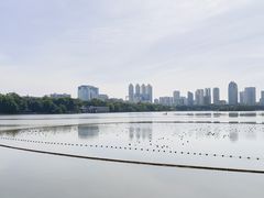 -南宁南湖公园