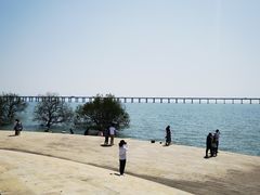 -宝安西湾红树林湿地公园