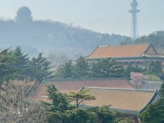 -湛山寺