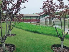 -西海子公园