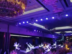 -曼格纳婚礼艺术中心(张江店)