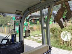 -三垟湿地