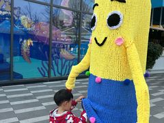 -海合安成都极地海洋公园