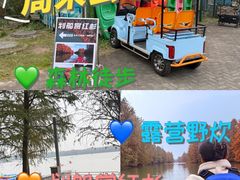 -上海海湾国家森林公园