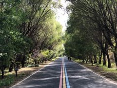 -同里国家湿地公园
