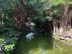 -珠海圆明新园