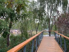 -东郊湿地公园