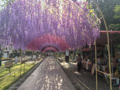 -狼山风景名胜区