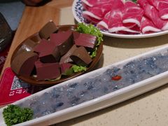 -东镇老火锅(长春路首店)