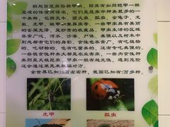 -上海昆虫博物馆