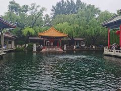 -老板恋上鱼(印象城店)