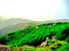 -苏木山森林公园