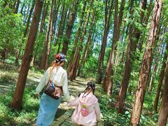 -同里国家湿地公园