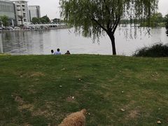 -美兰湖景区