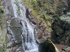 -藏龙百瀑风景区