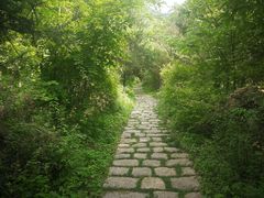 -终南山国家森林公园