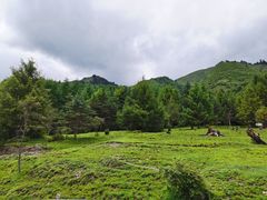 -硗碛藏寨·神木垒景区