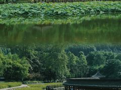 -龙头寺公园