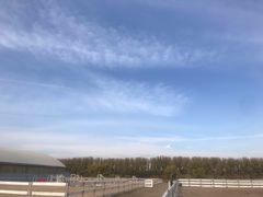 -月河湾马术俱乐部(朝阳店)