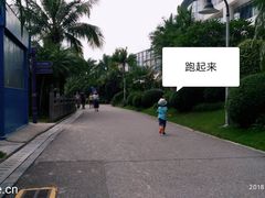 -碧桂园十里银滩