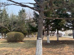 -长春世界雕塑园