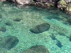 -石台牯牛降景区