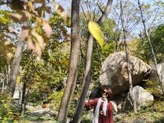 -大岭沟猕猴桃谷风景区