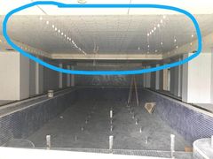 -海帆亲子游泳(茂业中心)