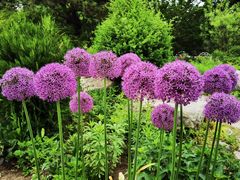 -国家植物园南园