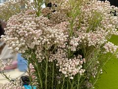 -地锅居(翰林邻里中心店)