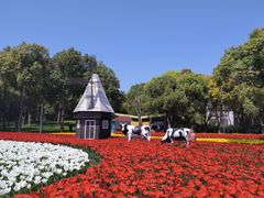 -大宁郁金香公园-停车场