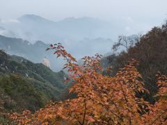 -尧山风景区