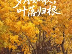 -仁和公园(顺义区)