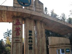 -五营红松林海景区