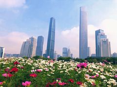 -海心沙亚运公园