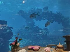 -海棠湾洲际-涛·海底餐厅·美人鱼·自助餐·海底隧道