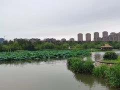 -前关湿地公园