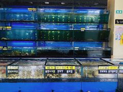 -南燕湾渔家码头